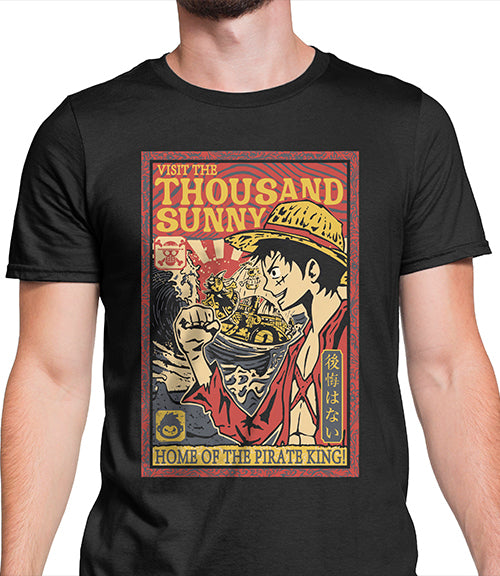 Visit Thousand Sunny
